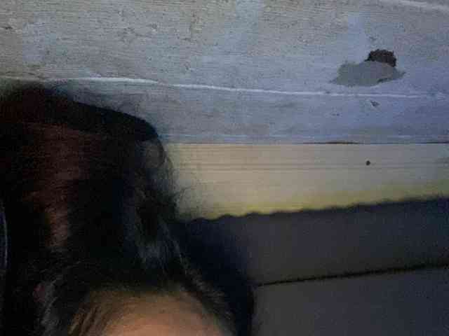 Rainie webcam