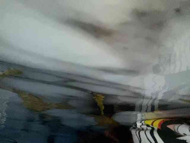 Rainie webcam