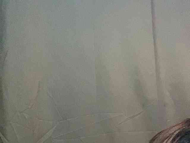 Rainie webcam