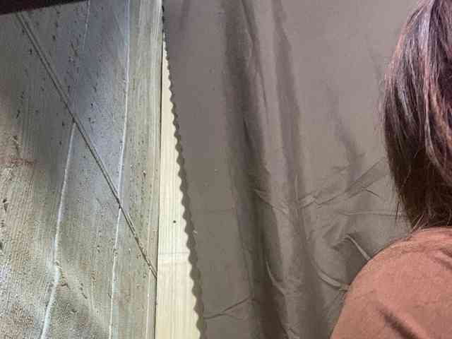 Rainie webcam