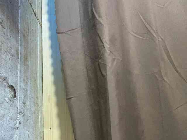 Rainie webcam