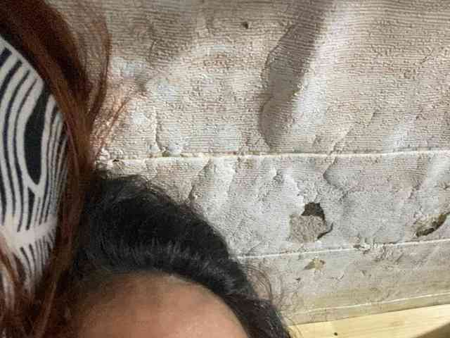 Rainie