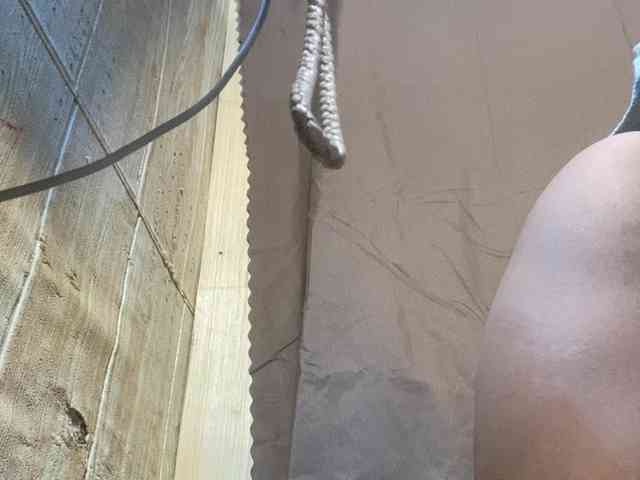 Rainie webcam