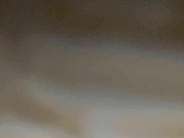 Rainie webcam