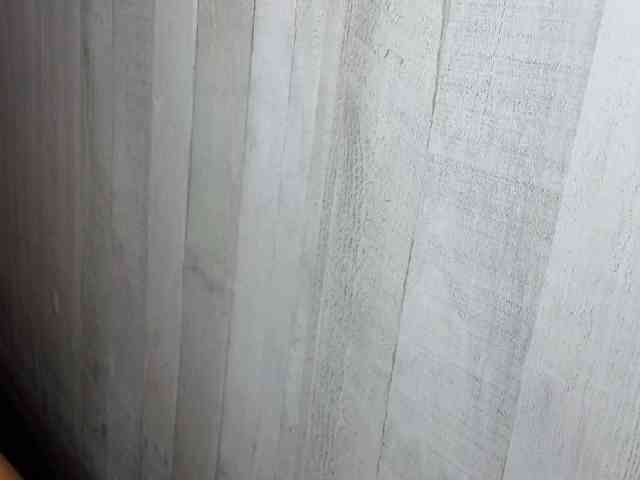 Rainie webcam