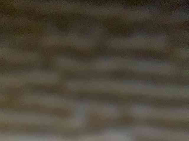 Rainie webcam
