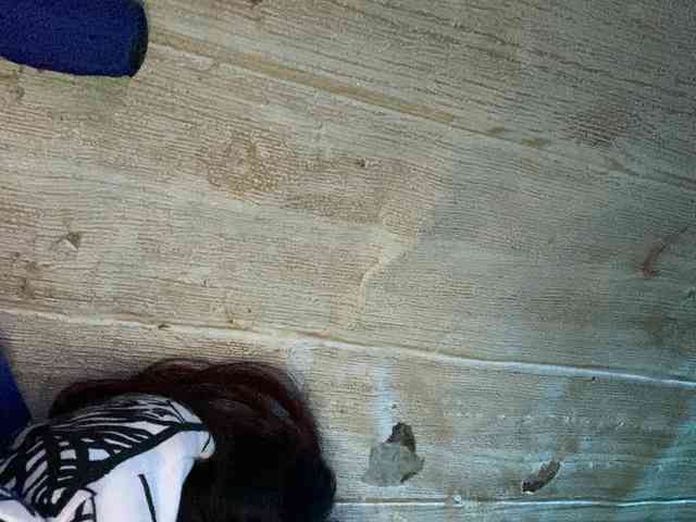 Rainie webcam