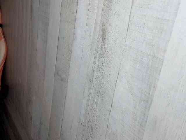 Rainie webcam