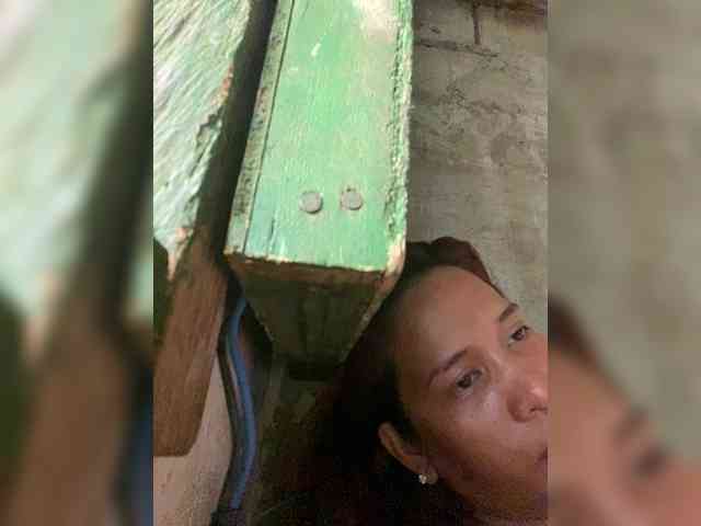 rasberrykat webcam