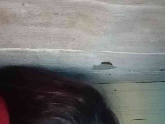 Rainie webcam