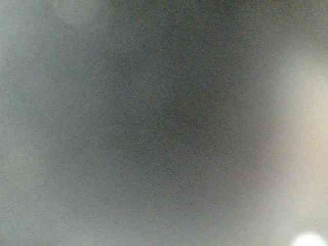MoonFlowers webcam