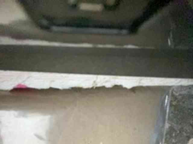 Rainie webcam