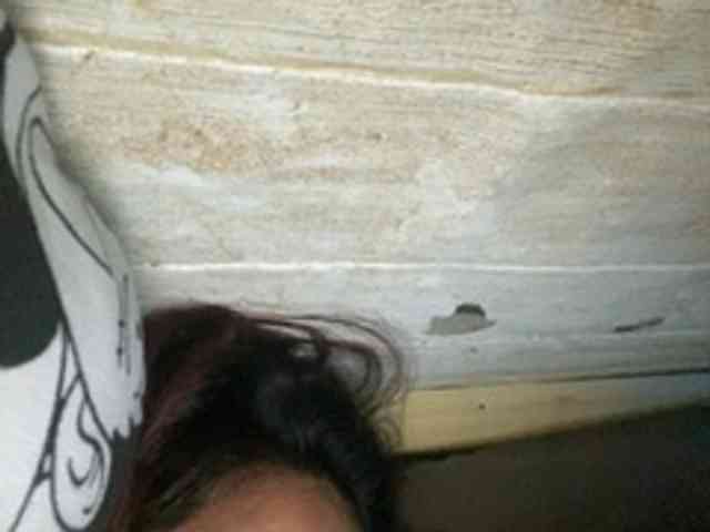 Rainie webcam