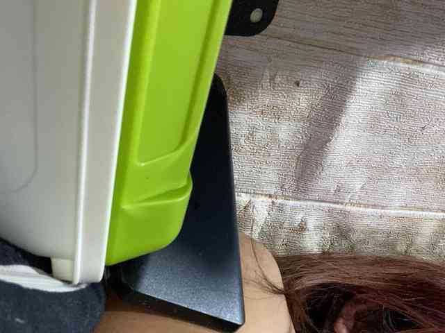 Rainie webcam