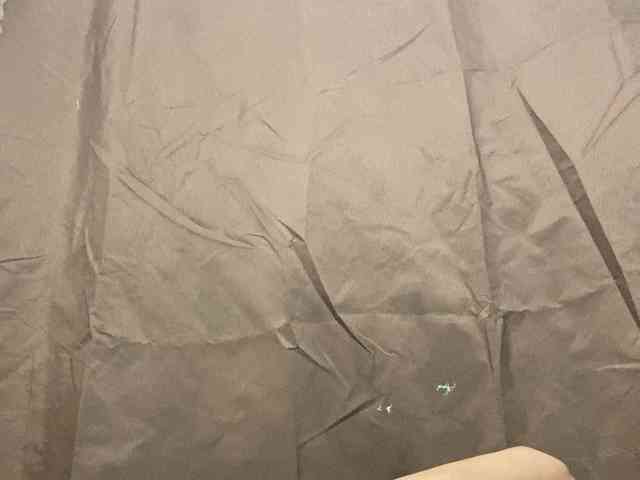 Rainie webcam