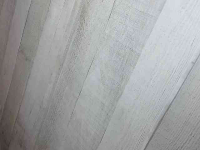 Rainie webcam