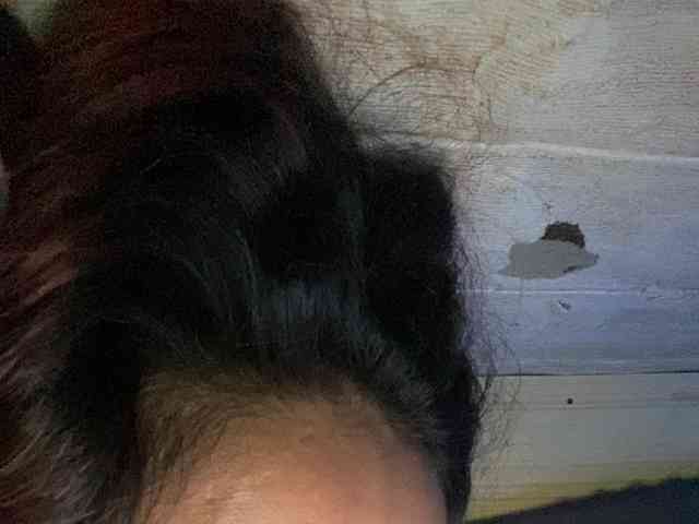 Rainie webcam