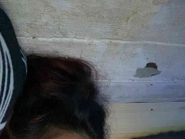 Rainie webcam