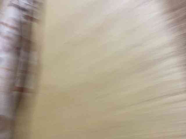 Rainie webcam