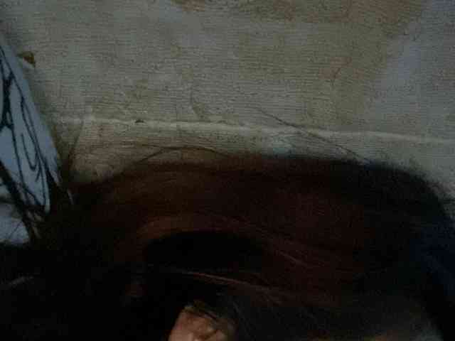 Rainie webcam