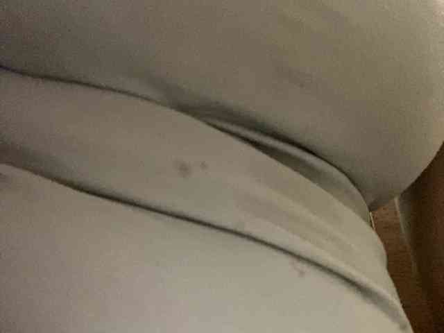 Rainie webcam