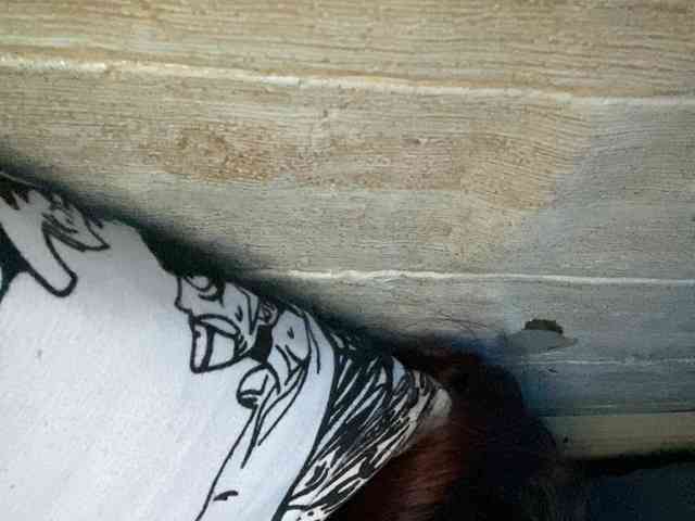 Rainie webcam