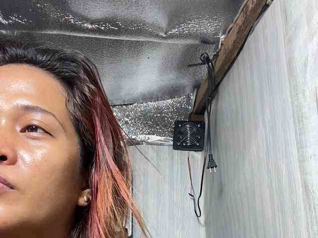 Rainie webcam