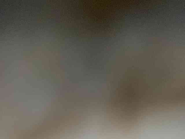 Rainie webcam