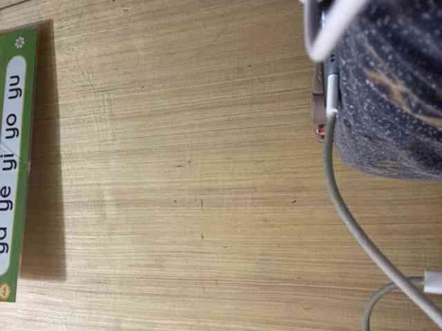 Rainie webcam