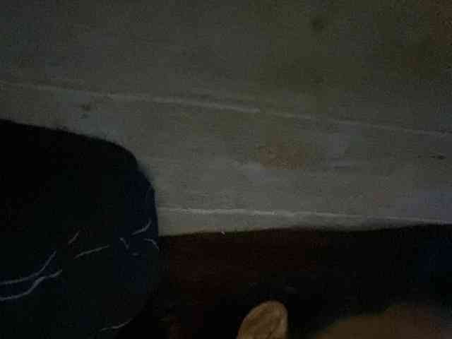 Rainie webcam