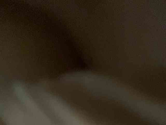 Rainie webcam