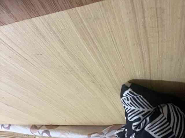 Rainie webcam