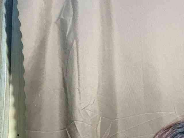 Rainie webcam