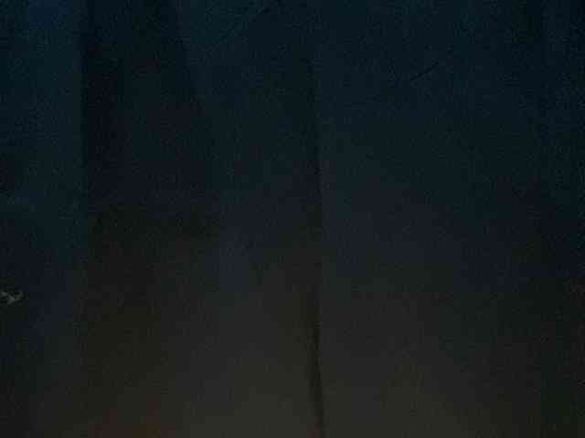 Rainie webcam