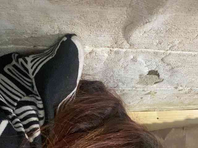 Rainie webcam