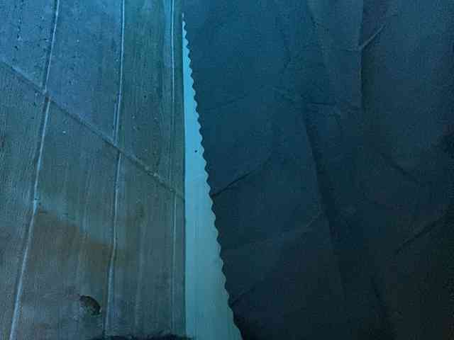 Rainie webcam