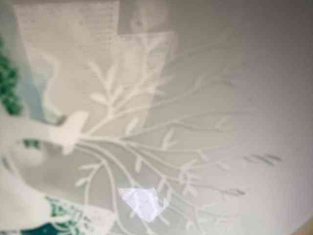 Rainie webcam