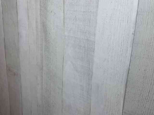 Rainie webcam
