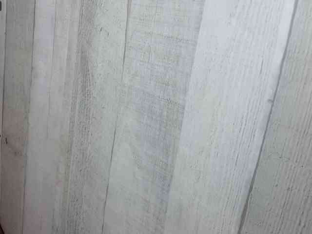 Rainie webcam