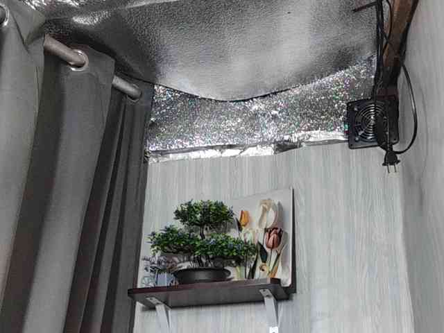 rainie's live room