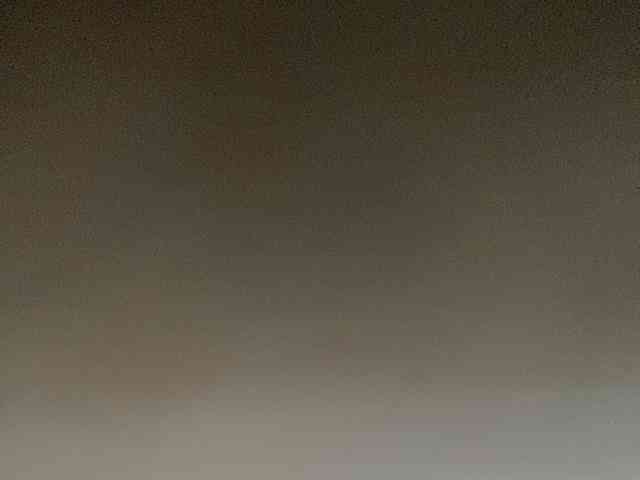 Rainie
