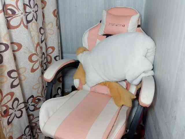 Rainie webcam