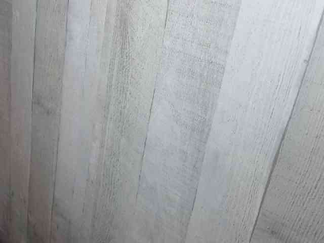 Rainie webcam