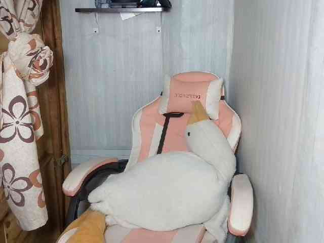 Rainie webcam