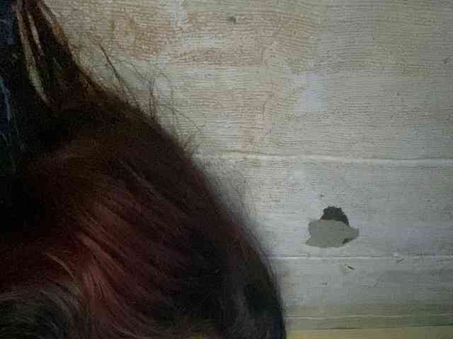 Rainie