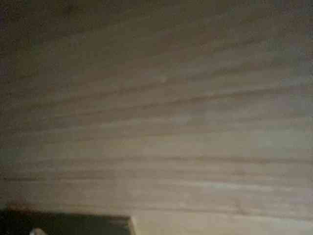 Rainie webcam