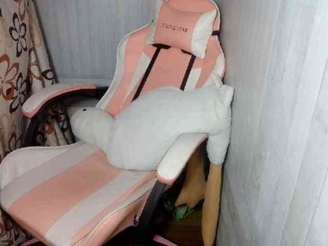 Rainie webcam