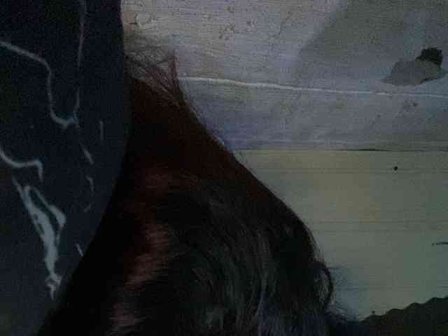 Rainie