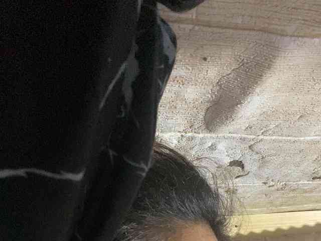 Rainie webcam