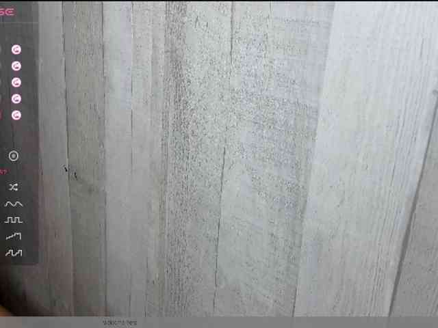 Rainie webcam